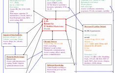 016 Template Ideas Free Concept Map Maker Luxury Blank Awesome - Printable Concept Map