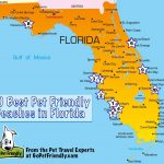 10 Of The Best Pet Friendly Beaches In Florida   Map Of Best Beaches In Florida