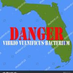 2017 Map Flesh Eating Bacteria   Flesh Eating Bacteria Florida 2017 Map