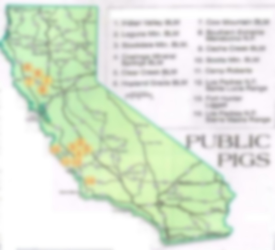 2019 California Public Land Pig Hunting, Reports Plus Maps Blm And - Wild Hogs California Map