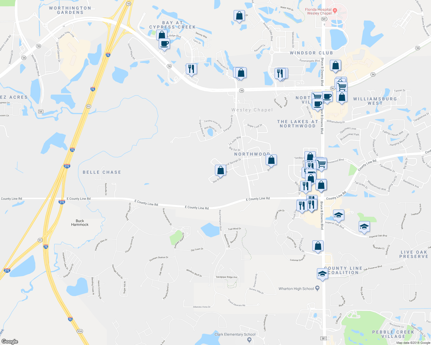 27021 Coral Springs Drive, Wesley Chapel Fl - Walk Score - Map Of Florida Showing Coral Springs
