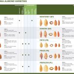 Almond Brands & Bulk Almond Products, California Royale   California Almond Farms Map
