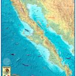 Baja California Wall Mapcompart Maps   Baja California Topographic Maps