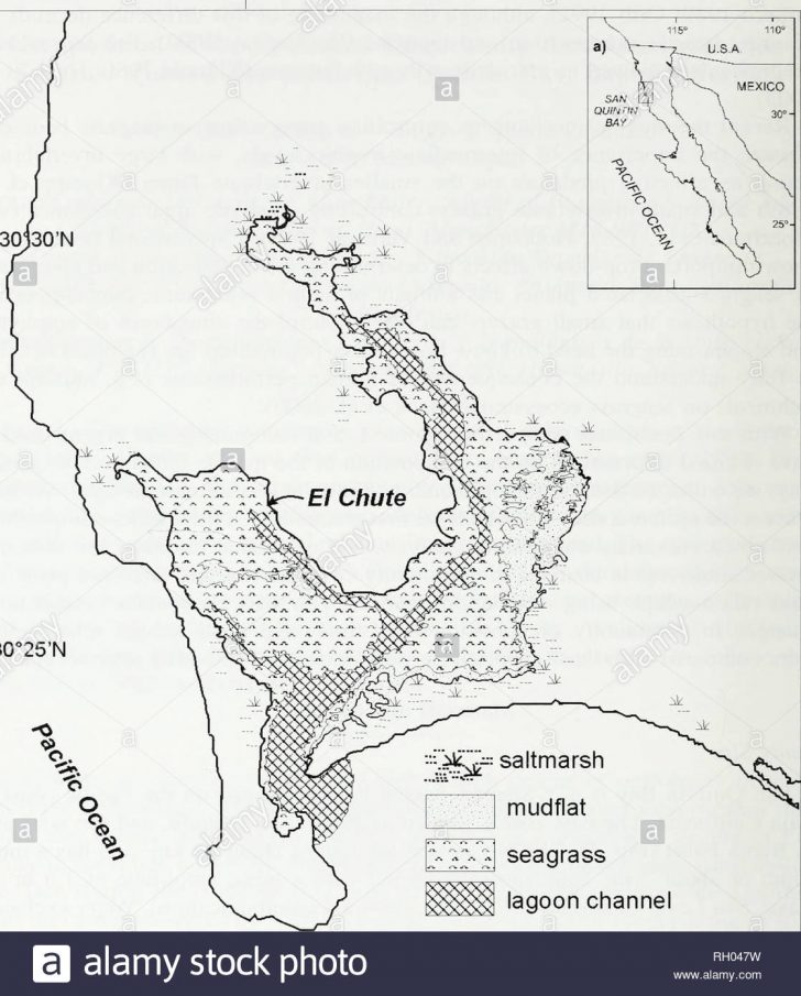 San Quintin Baja California Map