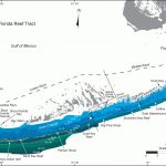 Bedrock Surface Map   Systematic Mapping Of Bedrock And Habitats   Ocean Depth Map Florida