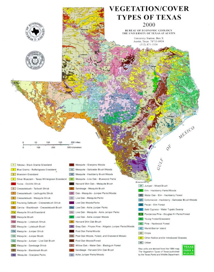 Beg: Maps Of Texas - Texas Geologic Map Google Earth | Printable Maps