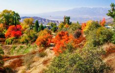 Best Places For California Autumn Leaves | Visit California - California Fall Color Map