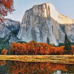 Best Places For California Autumn Leaves | Visit California   California Fall Color Map