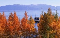 Best Places For California Autumn Leaves | Visit California - California Fall Color Map