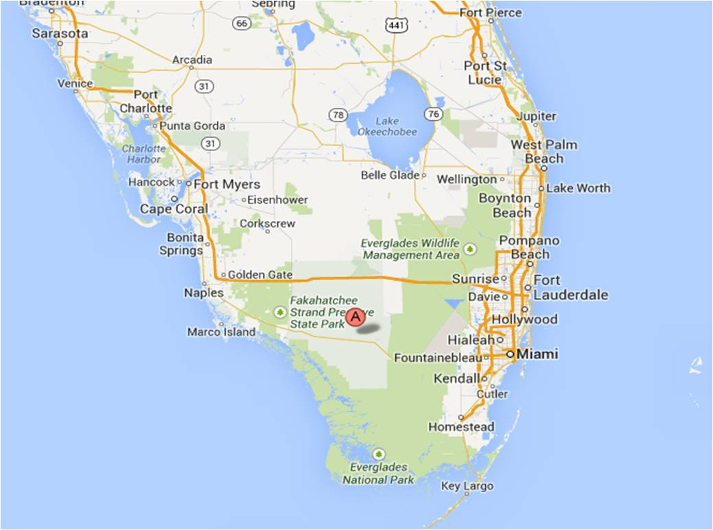 Big Cypress, Tampa, And Gulfport – March 2014 | Michigan Traveler - Cypress Key Florida Map