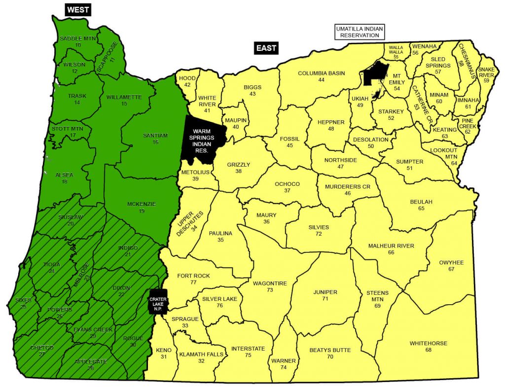 Black Bear Seasons | Oregon Hunting Seasons & Regulations – 2019 ...