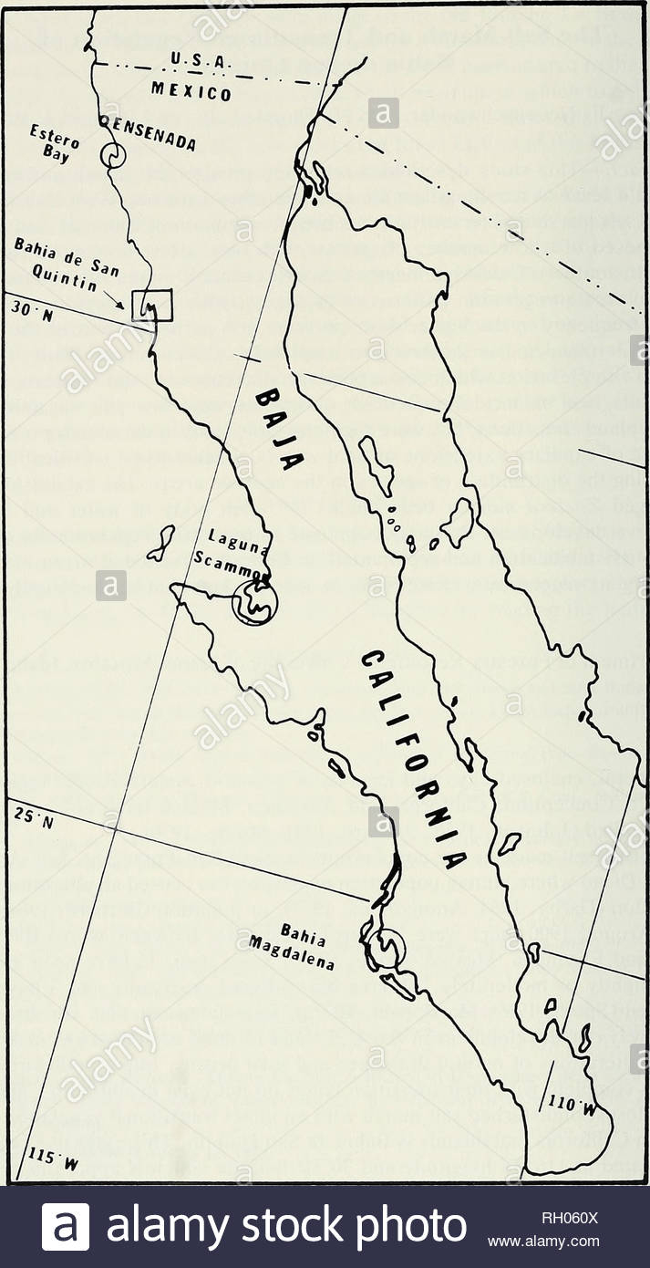 Bulletin. Science; Natural History; Natural History. 164 Southern - San Quintin Baja California Map