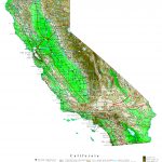 California Elevation Map   National Geographic Topo Maps California
