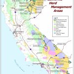 California   Herd Management Areas | Bureau Of Land Management   Blm Land Map Northern California