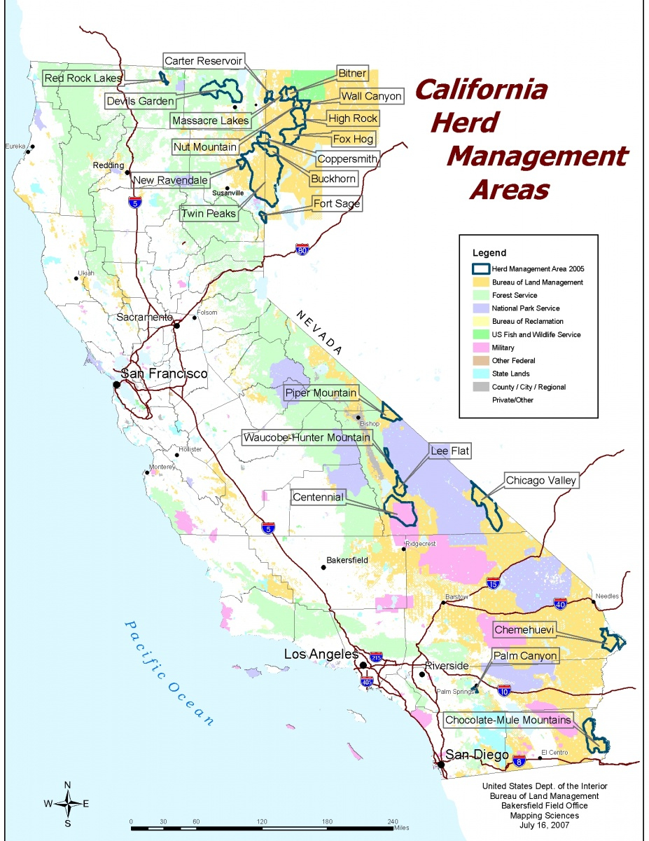 California - Herd Management Areas | Bureau Of Land Management - California Public Lands Map