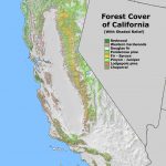 California Redwood Forest Map   Klipy   Redwood Forest California Map