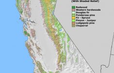 California Redwood Forest Map - Klipy - Redwood Forest California Map