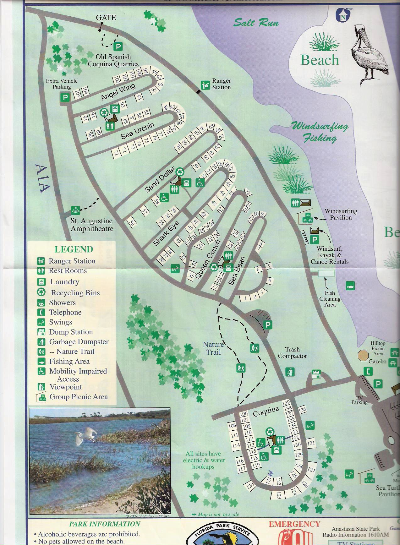 Campground Map - Anastasia State Park - St. Augustine - Florida - Florida State Parks Rv Camping Map