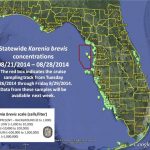 Captiva Fishing Report: No Red Tide ~ Sanibel, Captiva, North   Current Red Tide Map Florida