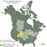 Chronic Wasting Disease In Deer | Colorado   Mule Deer Population Map Texas