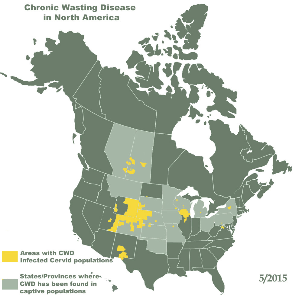 Chronic Wasting Disease In Deer | Colorado - Mule Deer Population Map Texas