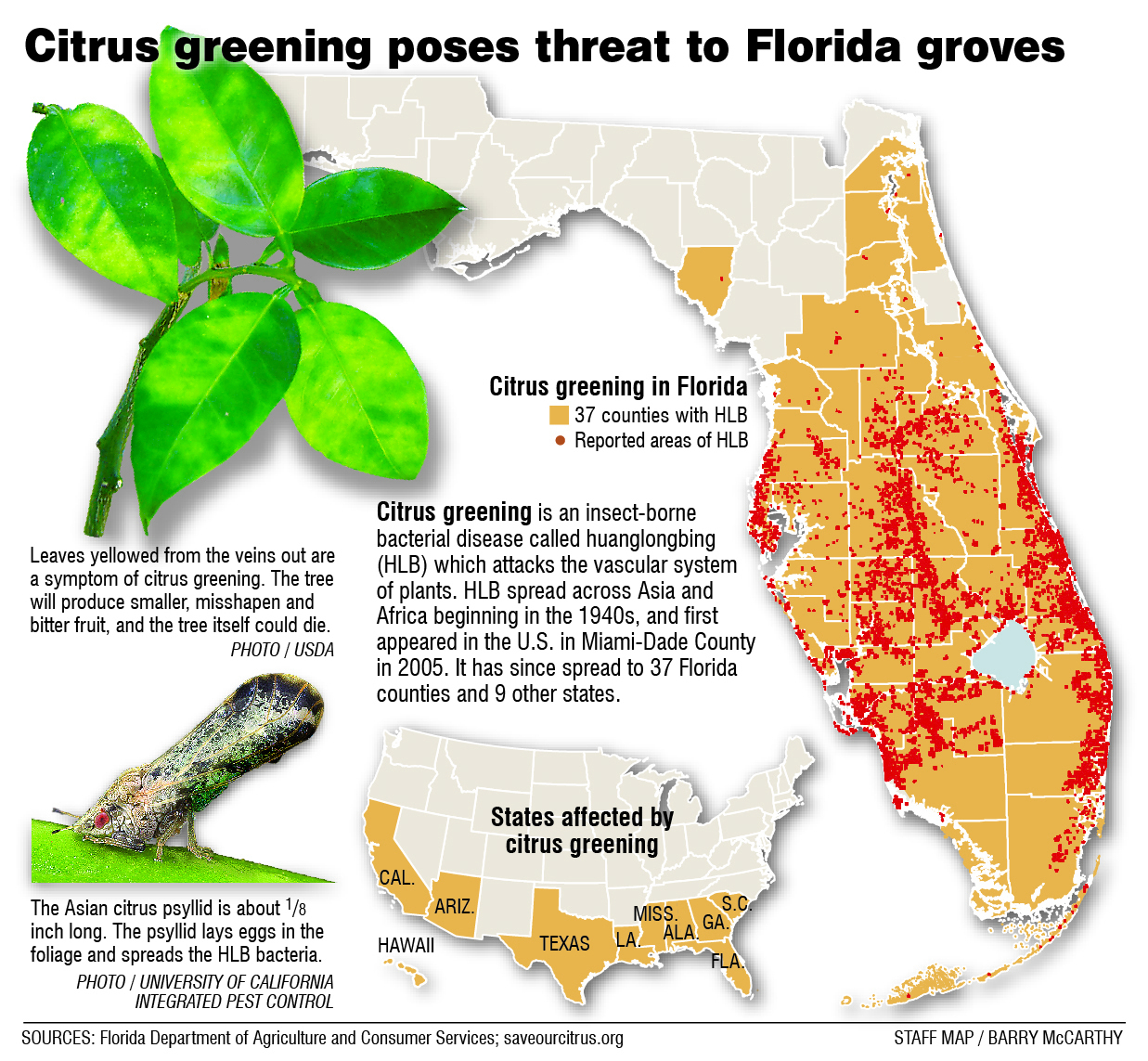 Citrus Greening: Florida&amp;#039;s Bittersweet Harvest - Extra - Florida Orange Groves Map