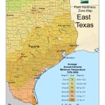 Cold Hardiness Zone Map |   Texas Garden Zone Map