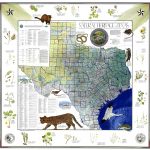 Conserving History With Map Sales | San Antonio | Map, Texas, Map Store   Map Store Austin Texas
