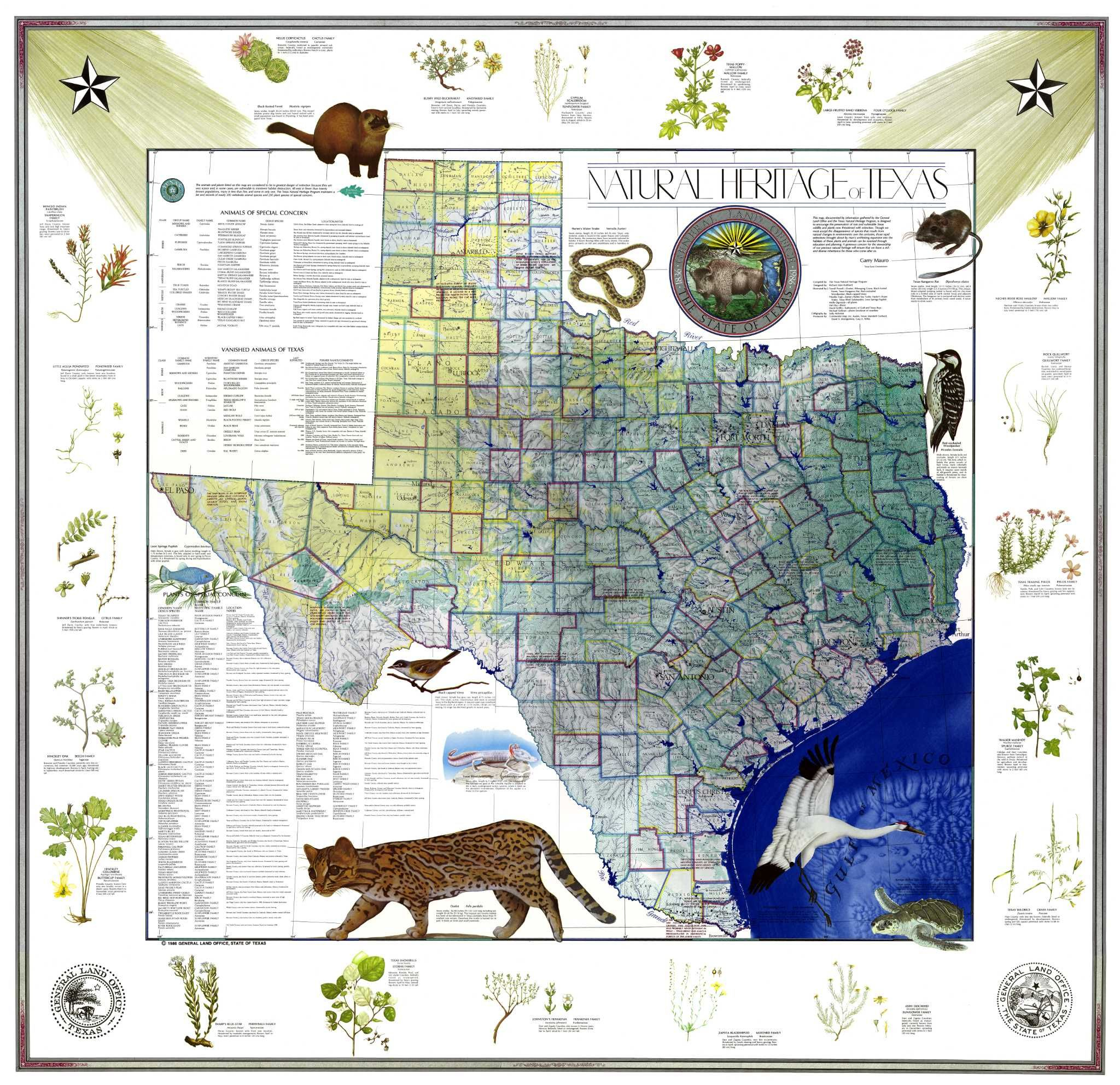 Conserving History With Map Sales | San Antonio | Map, Texas, Map Store - Map Store Austin Texas