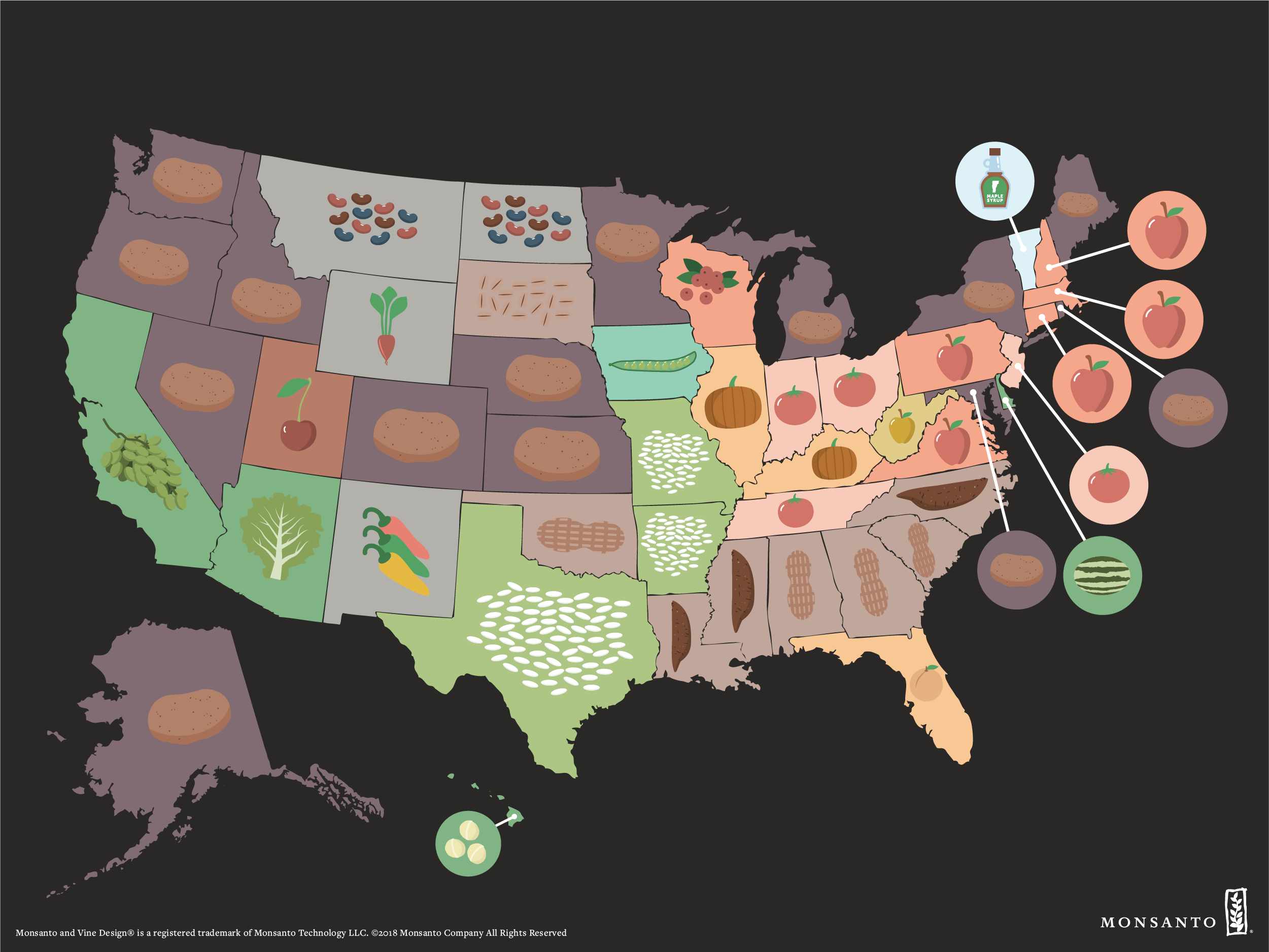 Crop Map: Who Grows What In The U.s. | Monsanto - Where Are Oranges Grown In Florida Map