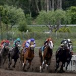 Death Toll At California Horse Track Rises To 19 As Employees Test Soil   Horse Race Tracks In California Map