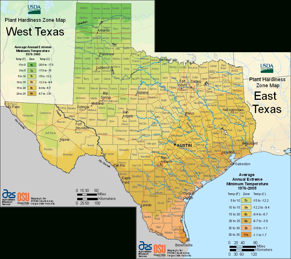 Earth–Kind® Plant Selector - Texas Hardiness Zone Map