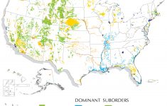 entisols map nrcs soils florida soil types map Entisols Map | Nrcs Soils - Florida Soil Types Map