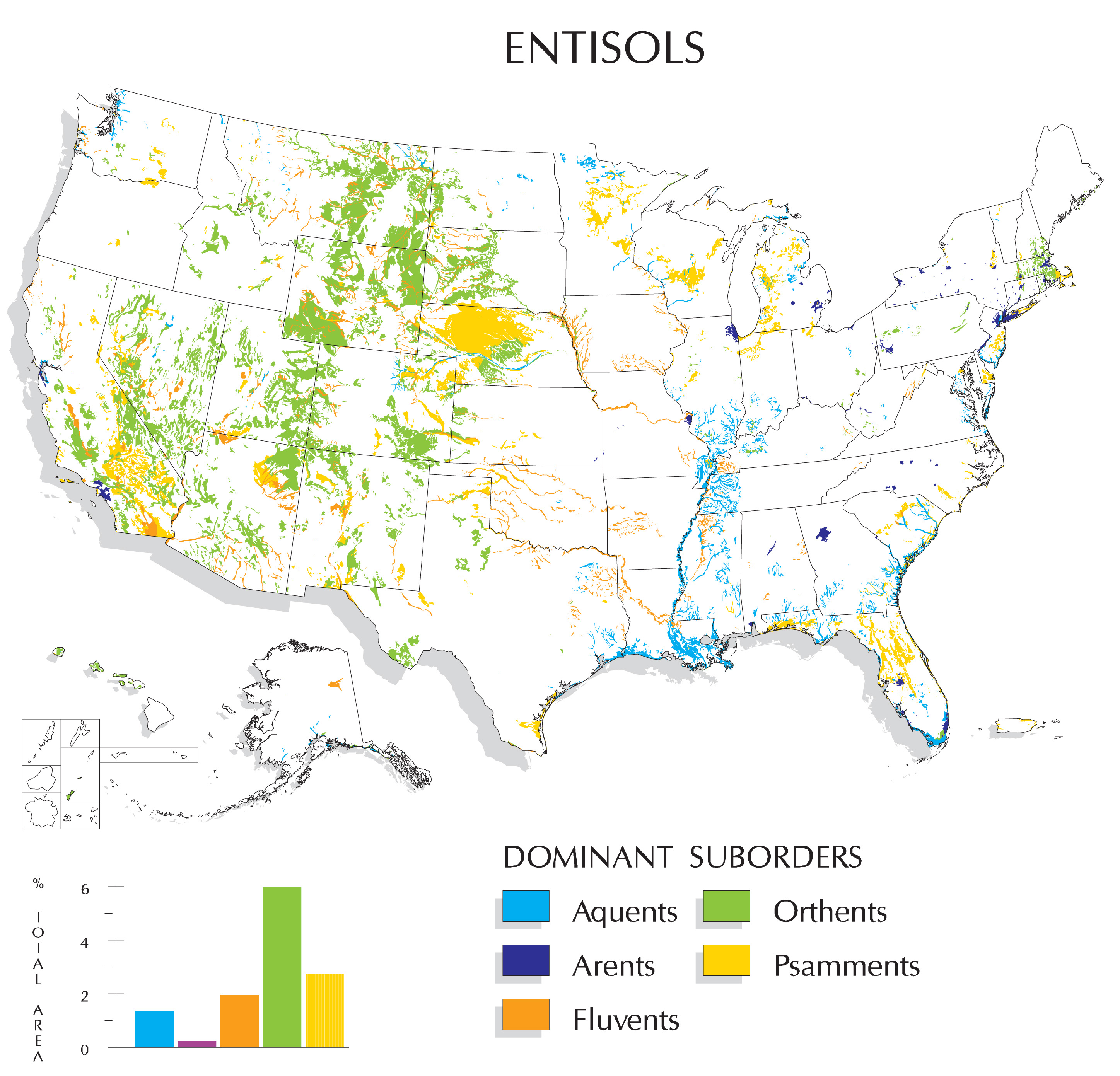 Entisols Map | Nrcs Soils - Florida Soil Types Map