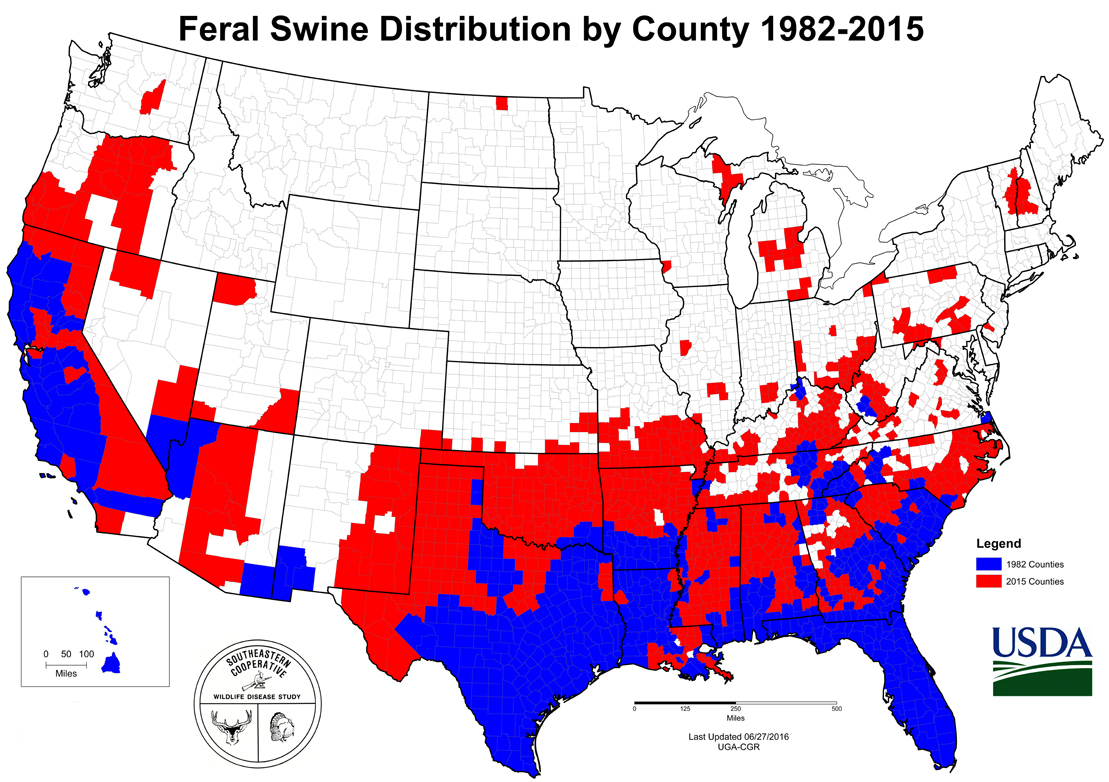 Feral Hogs Are Spreading, But You Can Help Stop Them | Qdma - Florida Wild Hog Population Map