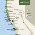 Few Life Experiences Match That Of Standing In A Redwood Grove. Help   Redwood Forest California Map