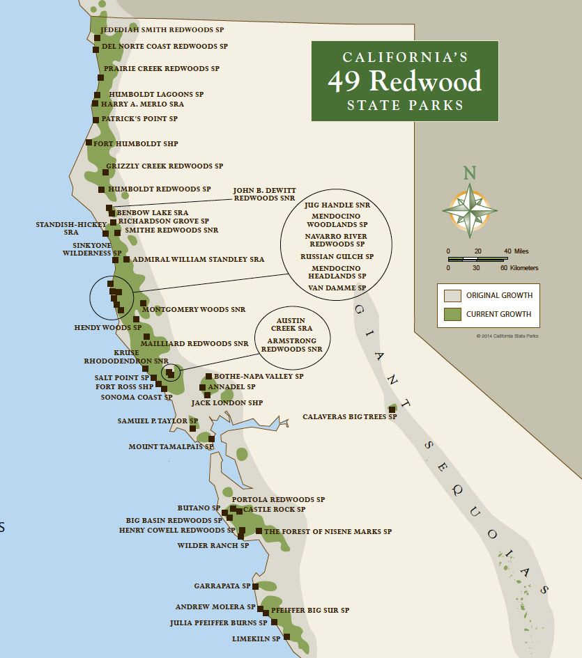 Few Life Experiences Match That Of Standing In A Redwood Grove. Help - Redwood Forest California Map
