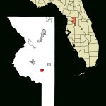 Fichye:sumter County Florida Incorporated And Unincorporated Areas   Webster Florida Map