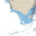 Florida Areas At Risk To A Five Foot Sea Rise | Maps | National   Florida Sea Level Map