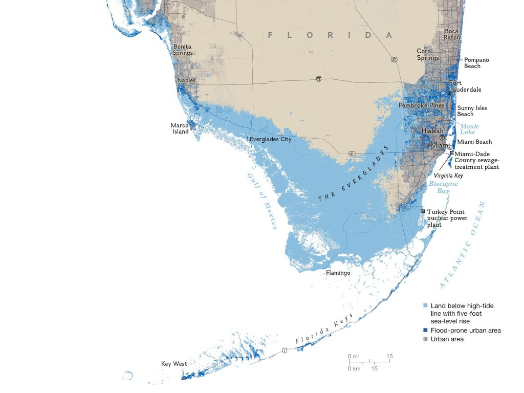 Florida Areas At Risk To A Five Foot Sea Rise | Maps | National - Florida Sea Level Map