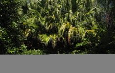 Florida Botanical Gardens | Florida Hikes! - Florida Botanical Gardens Tourist Map