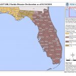 Florida Hurricane Irma (Dr 4337) | Fema.gov   Flood Zone Map Osceola County Florida