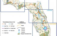 Florida National Scenic Trail - About The Trail - Florida Bicycle Trails Map