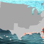 Florida Roundup: Managing Rising Seas In South Florida | Wlrn   Florida Water Rising Map