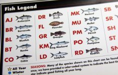 Florida Sportsman Fishing Charts - Florida Sportsman - Florida Sportsman Fishing Maps