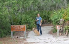 Florida State Parks Pet Policy | Florida State Parks - Florida State Parks Rv Camping Map