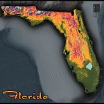 Florida Topography Map | Colorful Natural Physical Landscape   Florida Elevation Map By Address