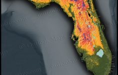 Florida Topography Map | Colorful Natural Physical Landscape - Florida Land Elevation Map