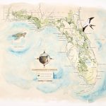 Florida Wildlife Corridor Expedition Watercolor Map Print   Watercolor Florida Map