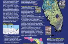 Florida+Sinkhole+Map | Florida Sinkhole Map | Florida | Florida - Sinkhole Map Florida 2017
